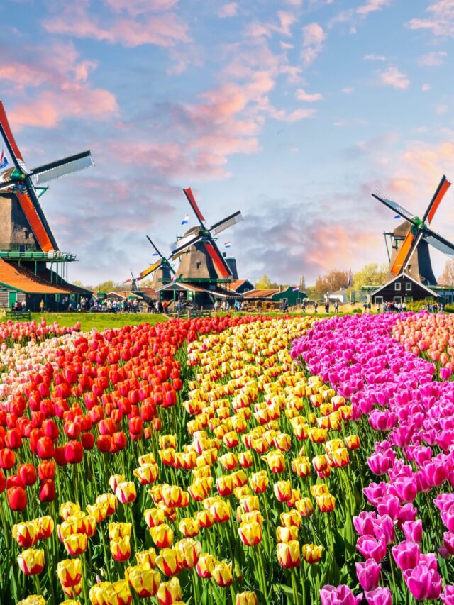 Best Places To Visit In Netherlands