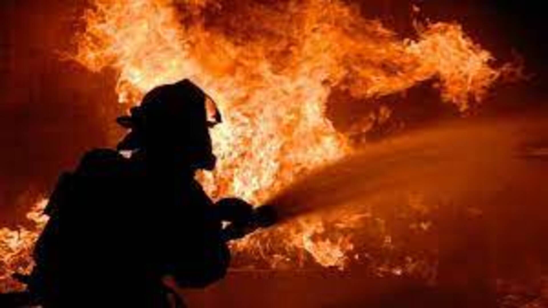 Death toll in Alipur market fire rises to 11, 4 injured