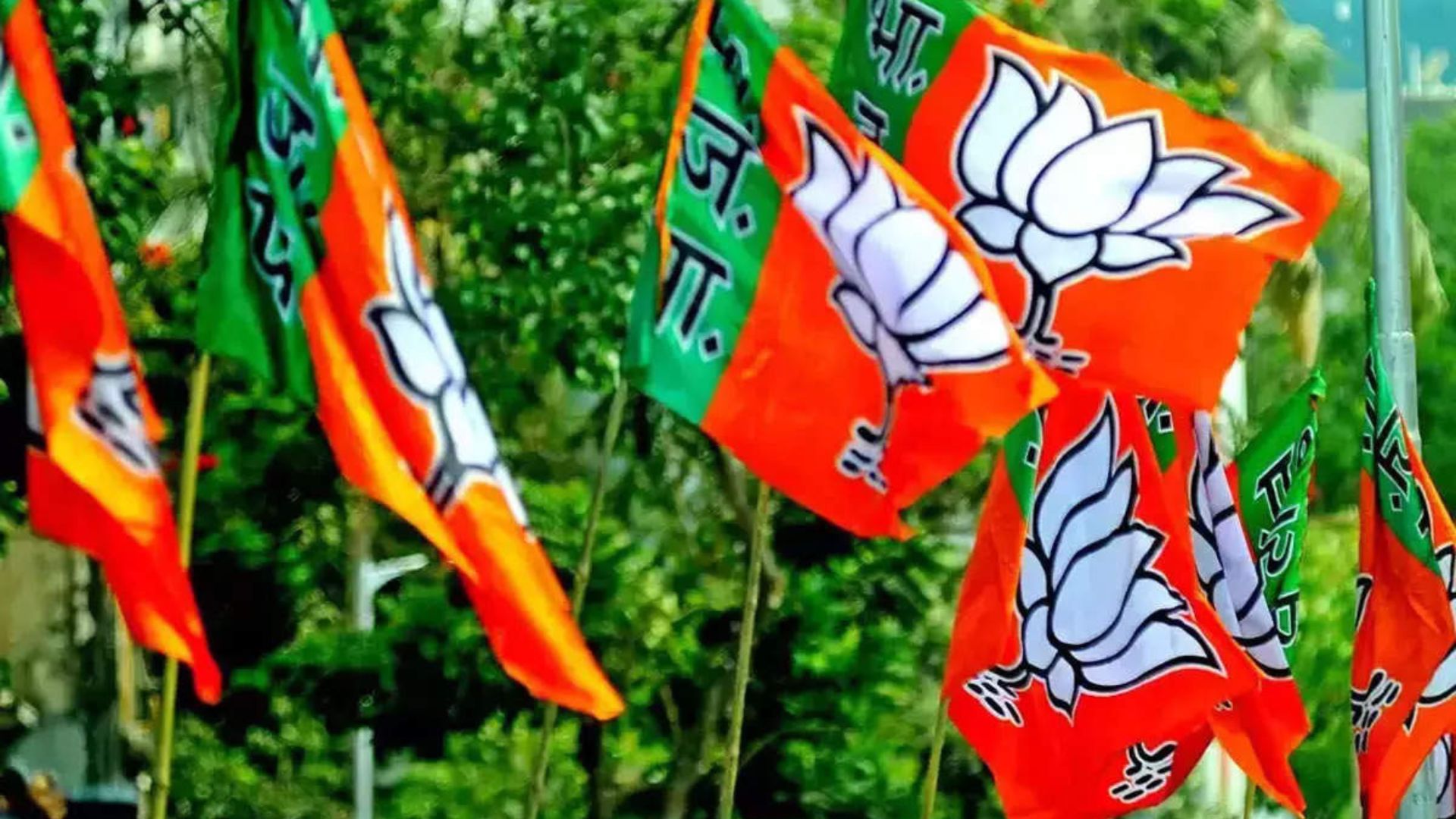 BJP's second meet on manifesto likely on April 4