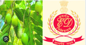 Enforcement Directorate raids Punjab Locations in connection with Guava Orchard compensation scam