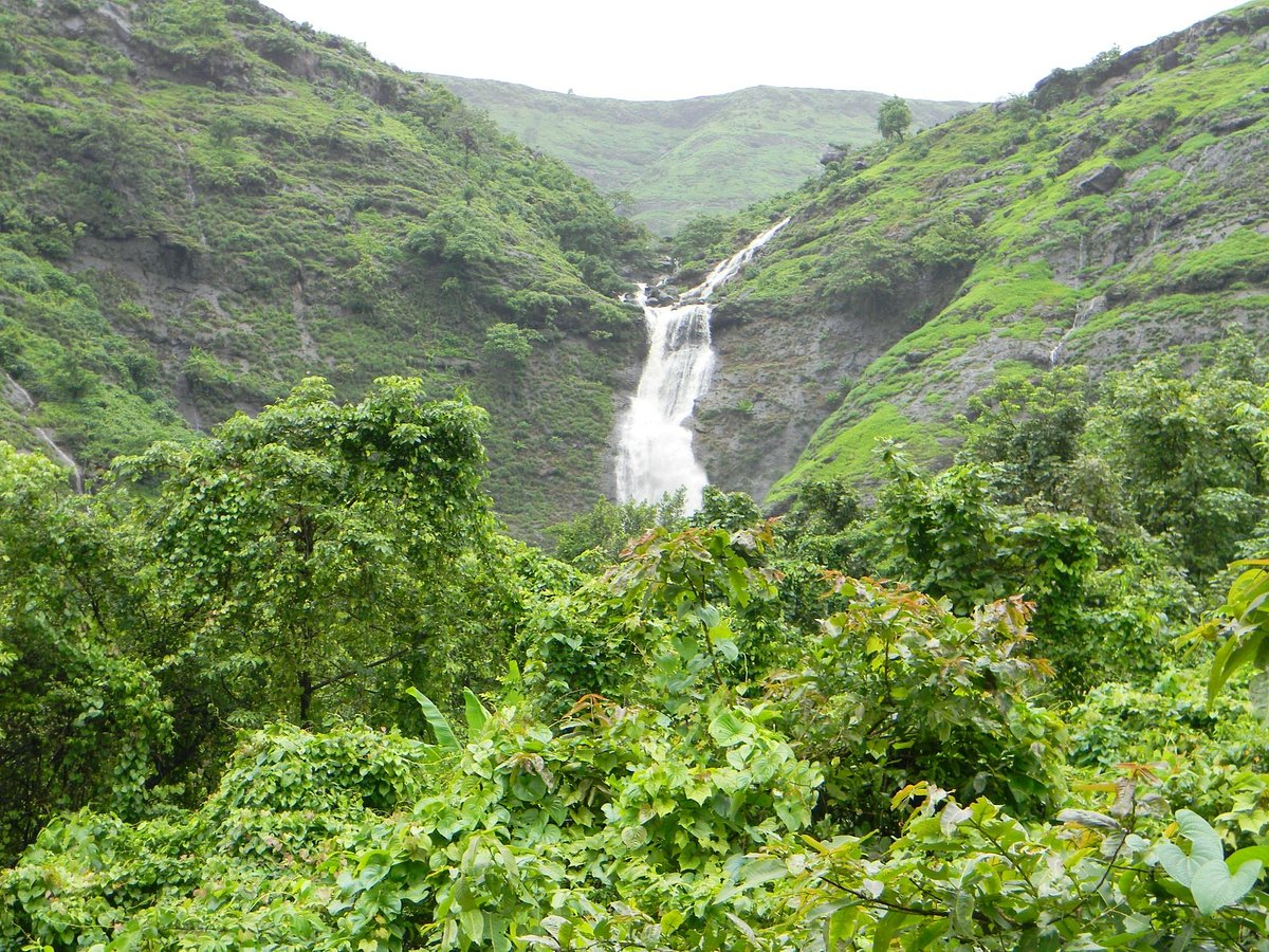 Watch Video: Family Of 7 Swept Away At Lonavala Waterfall