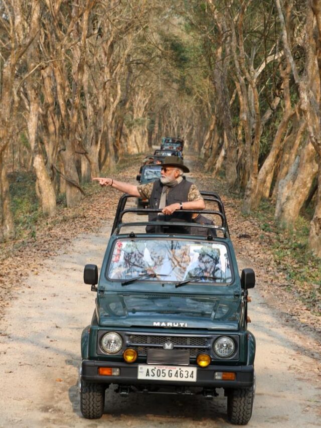 PM Modi Visits Kaziranga National Park. See Pics Here.