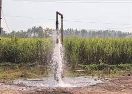 Farmers in UP will receive free electricity for irrigation, decides state cabinet