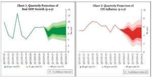 Price stability is our mandated goal: Reserve Bank