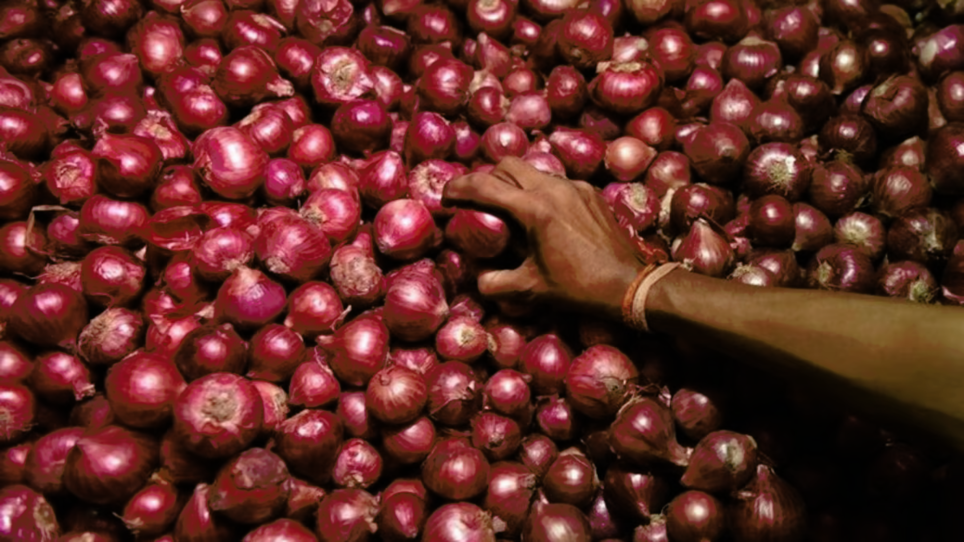 Despite Onion Export Ban Lift, Prices Continue To Plummet by 15%