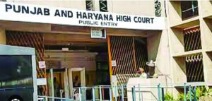 Punjab and Haryana High Court issues notice over construction near river affecting 15 villages