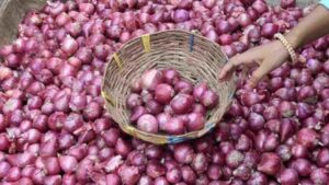 Delhi-NCR to Get Relief from High Onion Prices with Government Subsidy