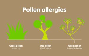 Beyond the Blooms: Understanding and Managing Pollen Allergies