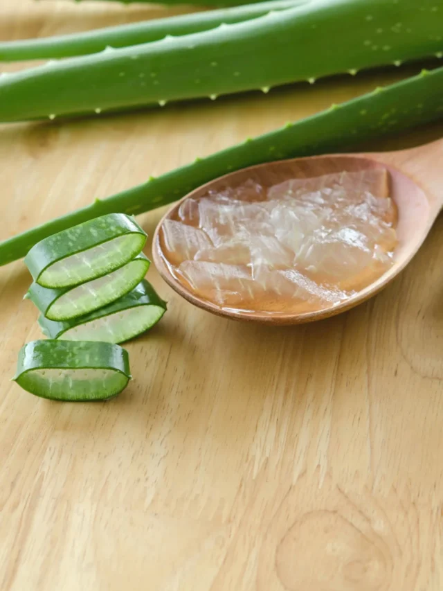 Benefits of Aloe Vera in Summers