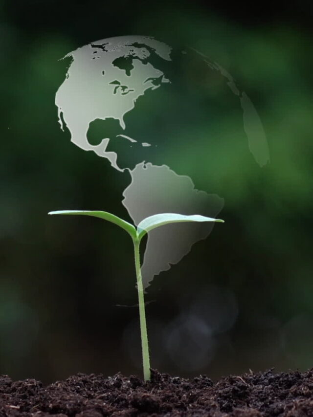 World Earth Day 2024