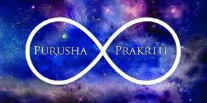 The Relationship between Purusha and Prakriti