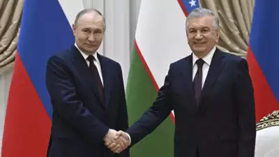 Russia Aims to Construct Central Asia's First Nuclear Power Plant in Uzbekistan