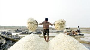 Record-Breaking Salt Production Surges In Bangladesh Amid Heatwave Conditions