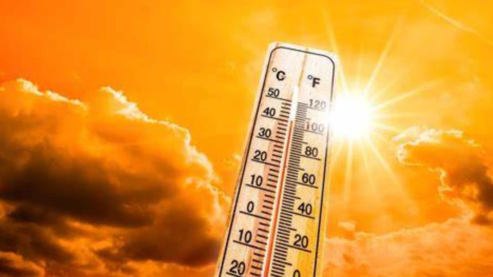 IMD Predicts Heatwave For Few States in Next 5 days