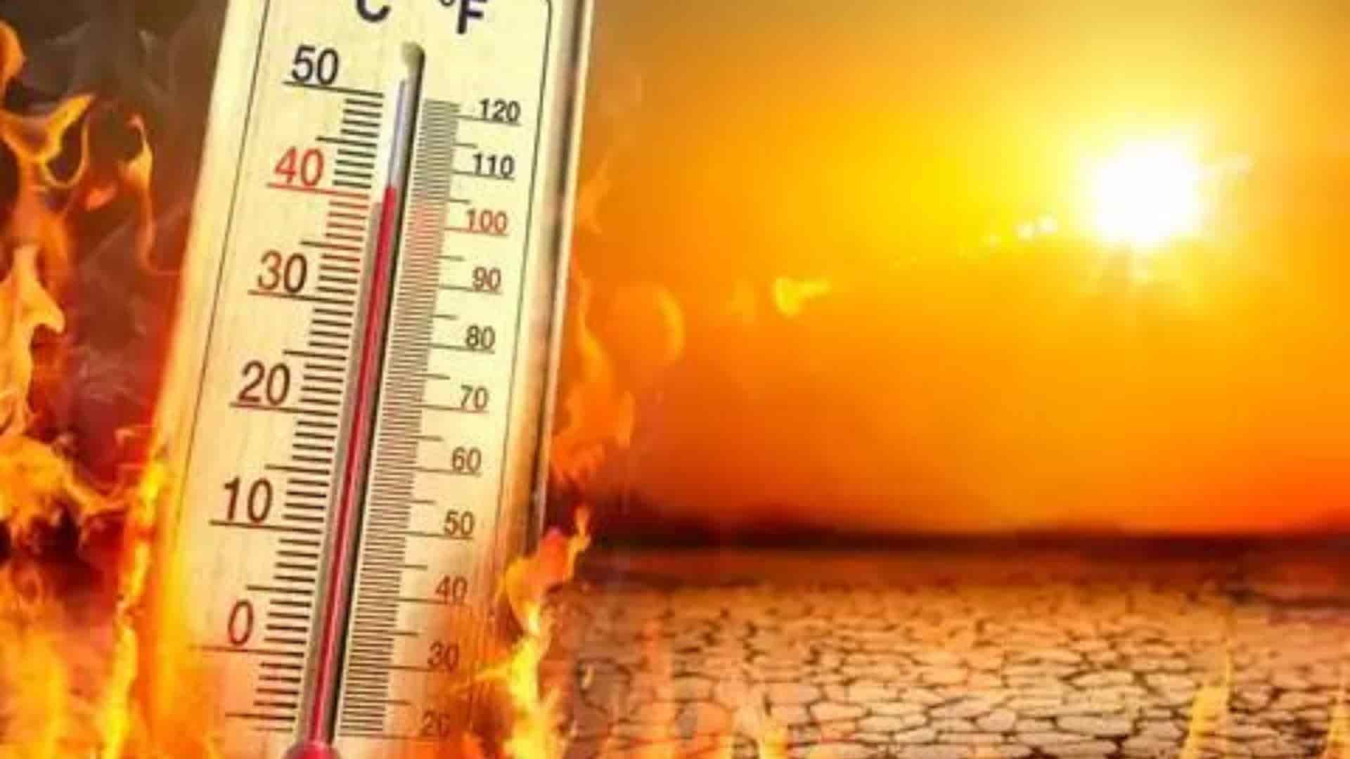 Delhi Heatwave: First Heat Casualty Reported as City Swelters at 49.2°C