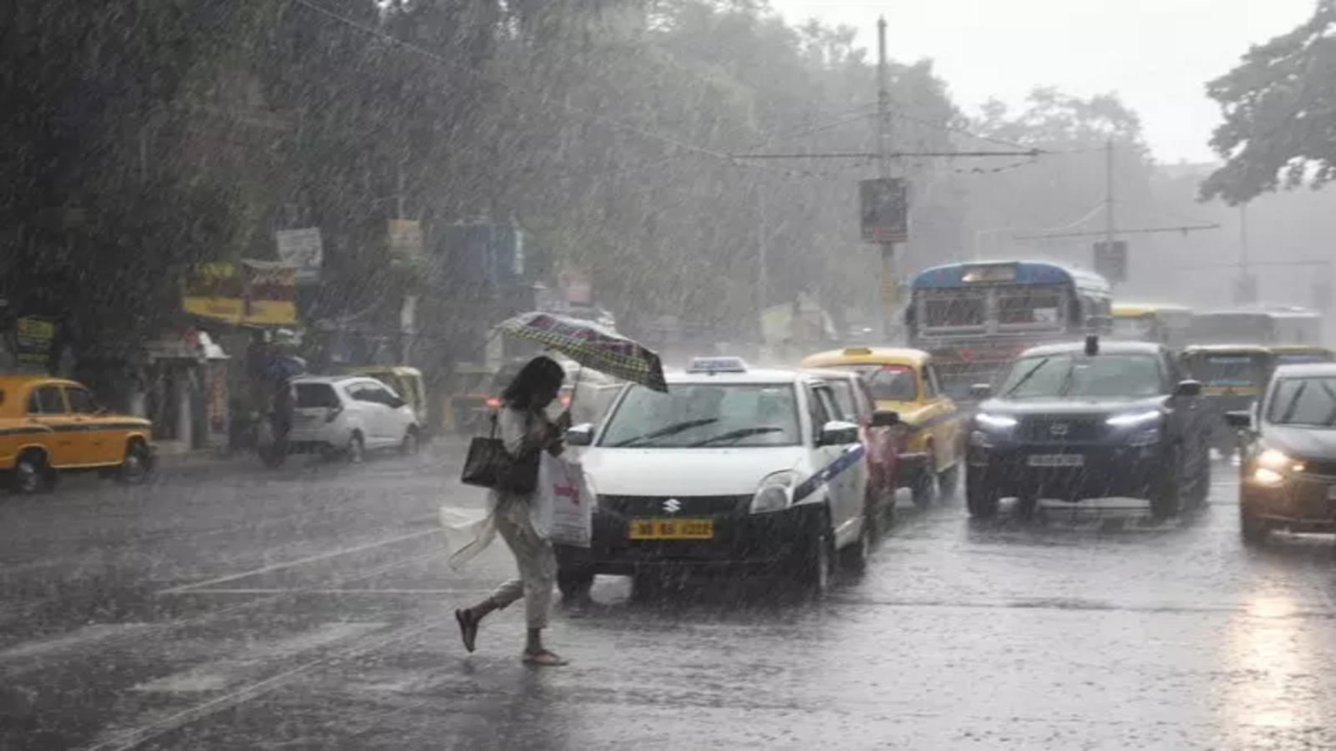 Mumbai: Train Services Halted, Schools Shut Due to Heavy Rain