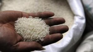 ED Arrests Former MARKFED MD Manoj Soni In Chhattisgarh Rice Milling Scandal