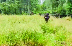 Search operation launched in Poonch amid suspicious movement