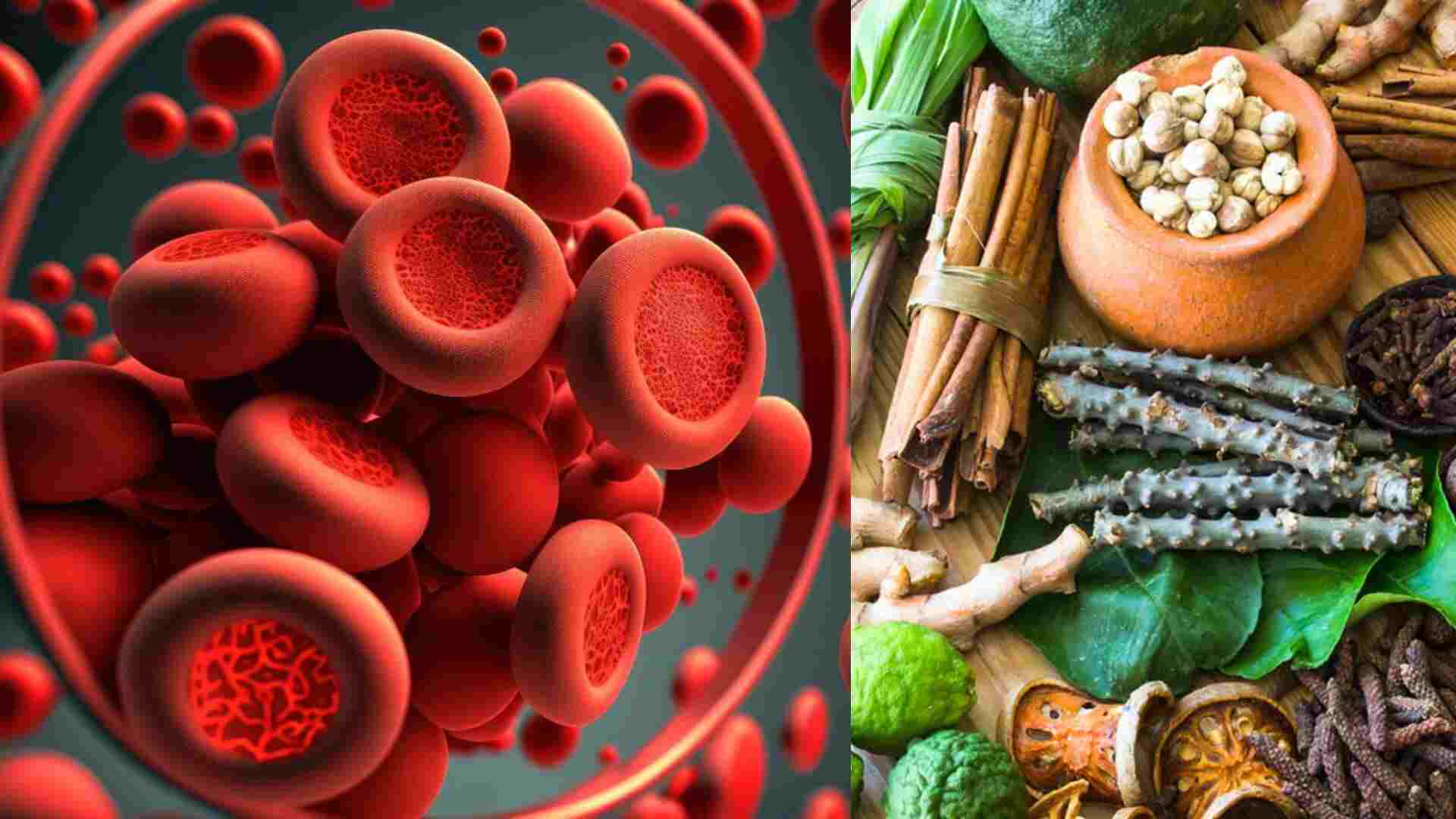 Boost Hemoglobin: Top Ayurvedic Herbs for Better Blood Health