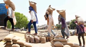 India to Resume Wheat Imports After Six Years to Boost Reserves