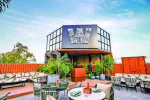 WILDE: A Tropical Oasis of Culinary Excellence in Punjabi Bagh