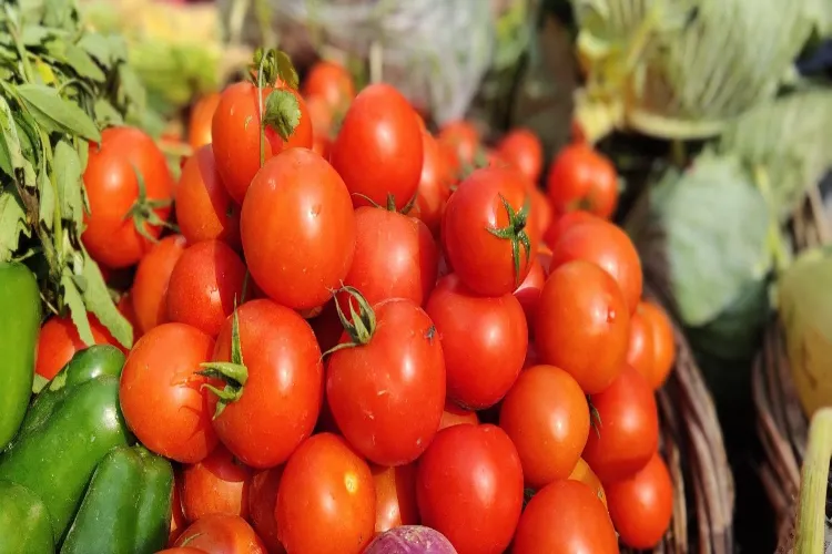 Tomato Price Spike Triggers As Centre Turns South For New Stock