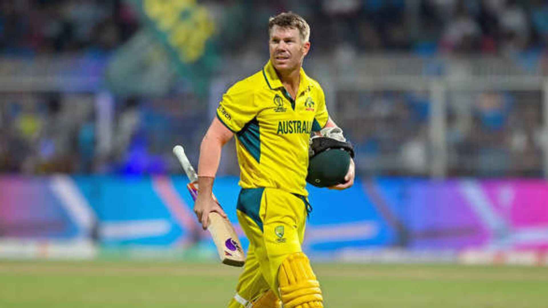 David Warner