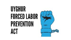 Uyghur Forced Labor Act Marks Milestone Amid Ongoing Challenges