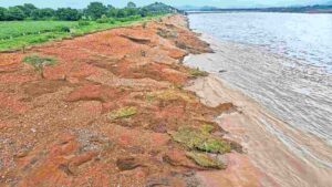 Crocodile Drags Off Woman, Entry To Narmada River Restricted