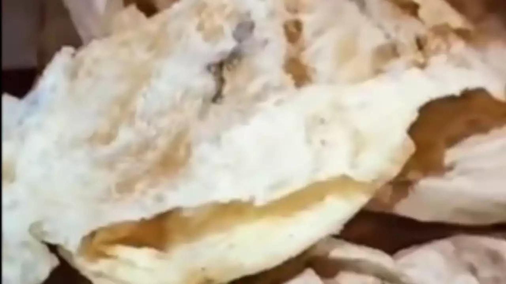 Watch: Woman Finds Dead Lizard In Chhole Bhature, Internet Calls For Indian Street Food Ban