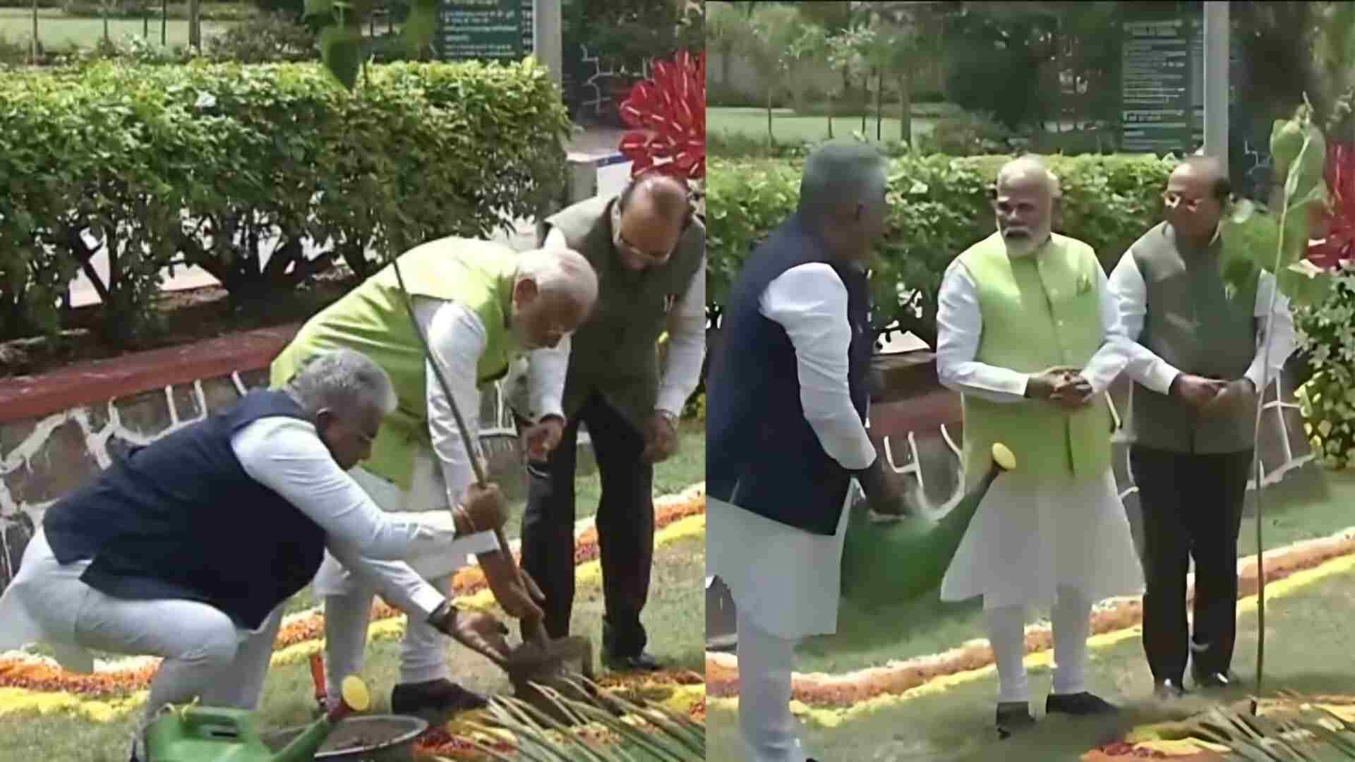 World Environment Day: PM Modi Launches ‘Ek Ped Maa Ke Naam’ Campaign