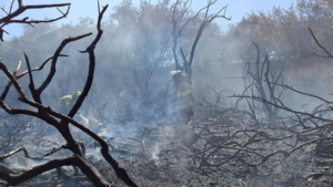 Forest Fire Breaks Out In Jerusalem’s Valley Of The Cross: Israel Museum Evacuated