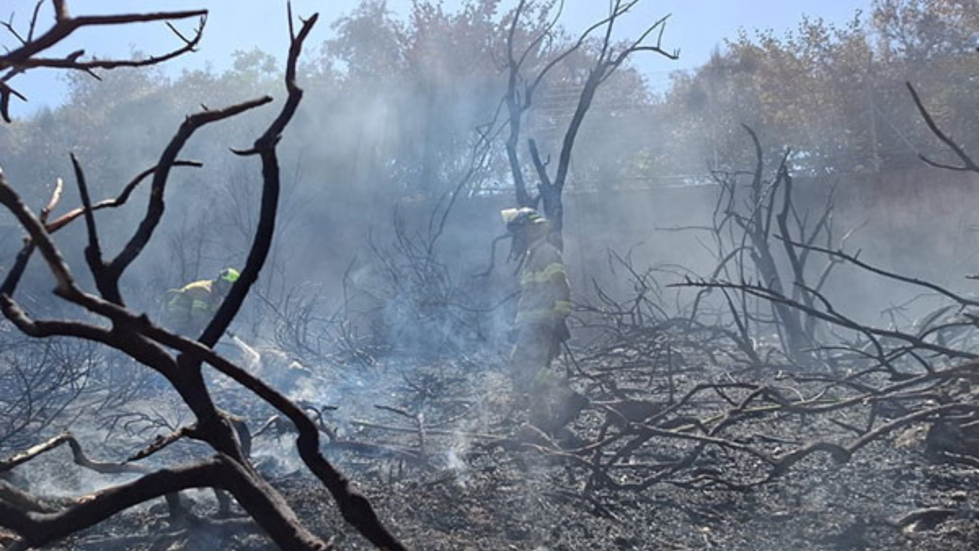 Forest Fire Breaks Out in Jerusalem's Valley of the Cross: Israel Museum Evacuated