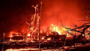 Firefighters Make Headway Against Wind-Driven Blaze Near California