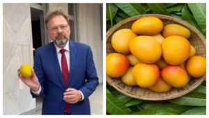 Why Shouldn’t Europe Enjoy Indian Mangoes? German Ambassador Cheers New Imports