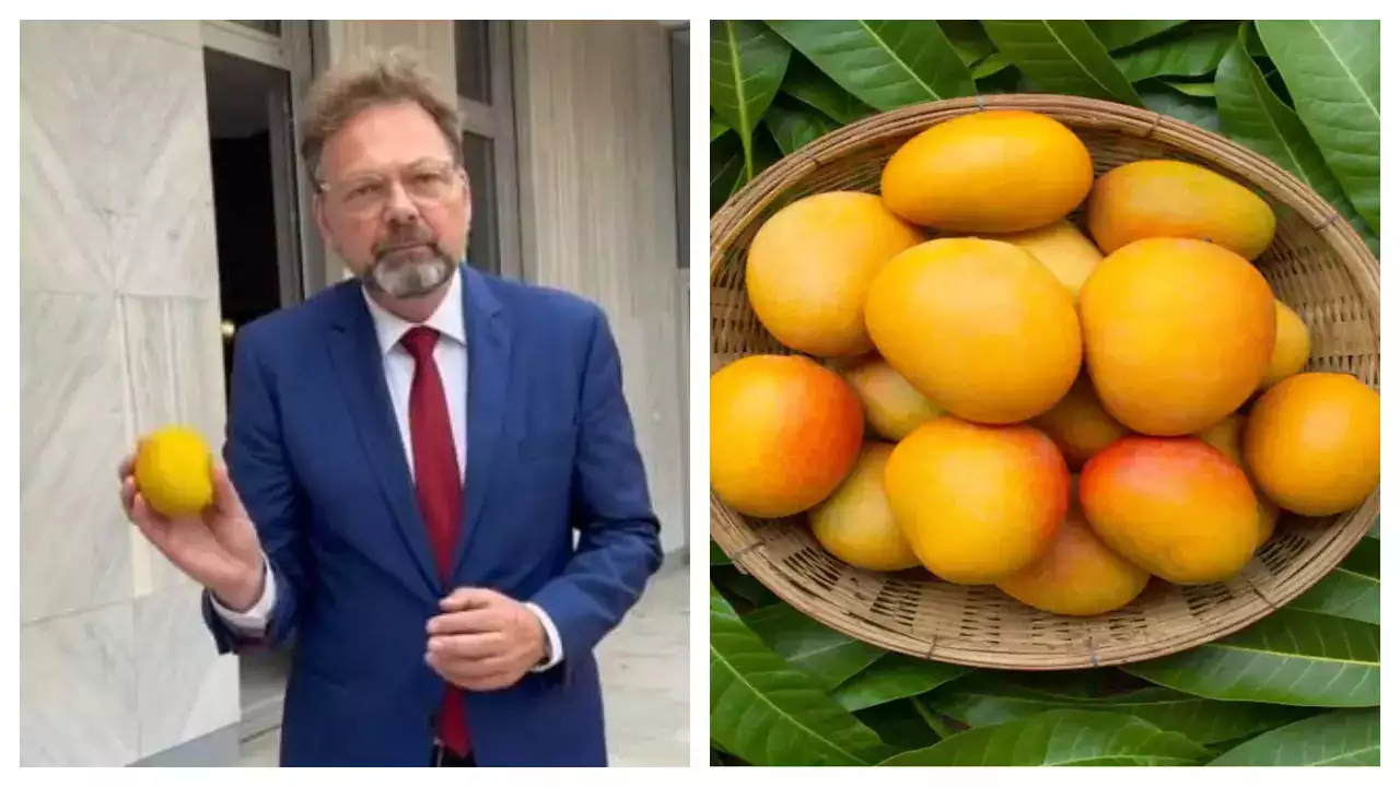 Why Shouldn’t Europe Enjoy Indian Mangoes? German Ambassador Cheers New Imports