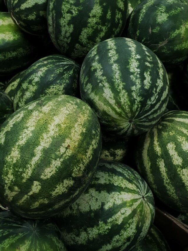 5 Reasons Why You Should Prefer Watermelons Over Any other Fruit This Summer