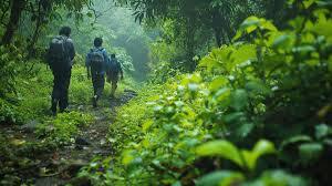 Exploring monsoon magic: Essential tips for safe and memorable rainy season travels