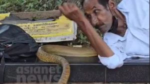 Watch | A Surprise Nap Buddy: Man’s Unexpected Encounter With A Snake