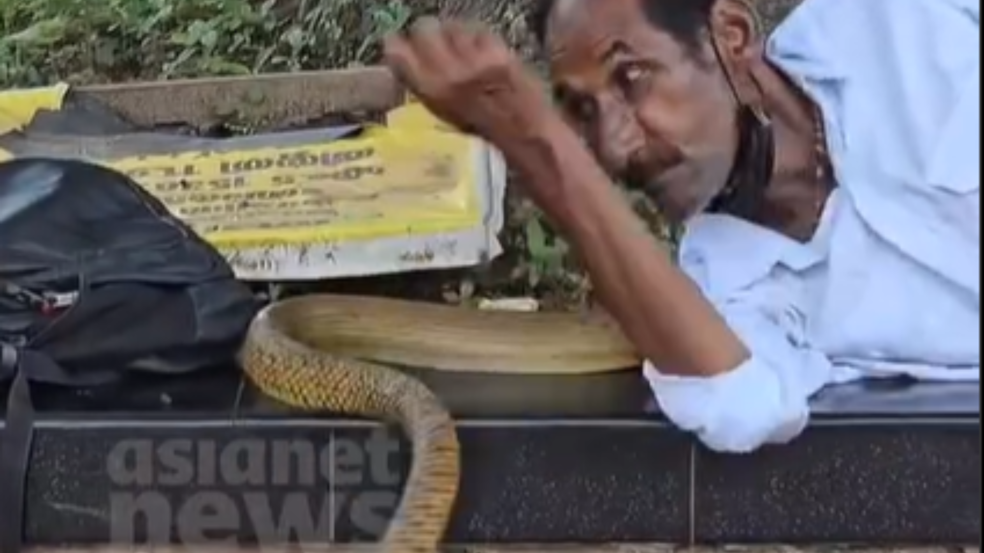 Watch | A Surprise Nap Buddy: Man’s Unexpected Encounter With A Snake