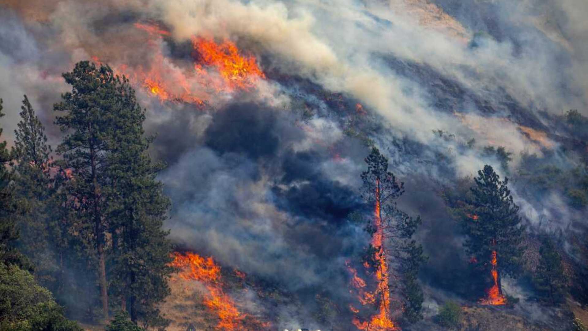 California Wildfires: The Factors Behind 2024’s Largest Blaze