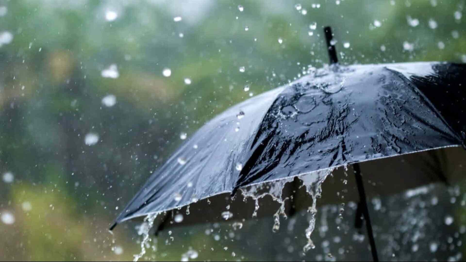 Delhi To Remain Cool Due To Week-Long Rainfall (Representative Image)