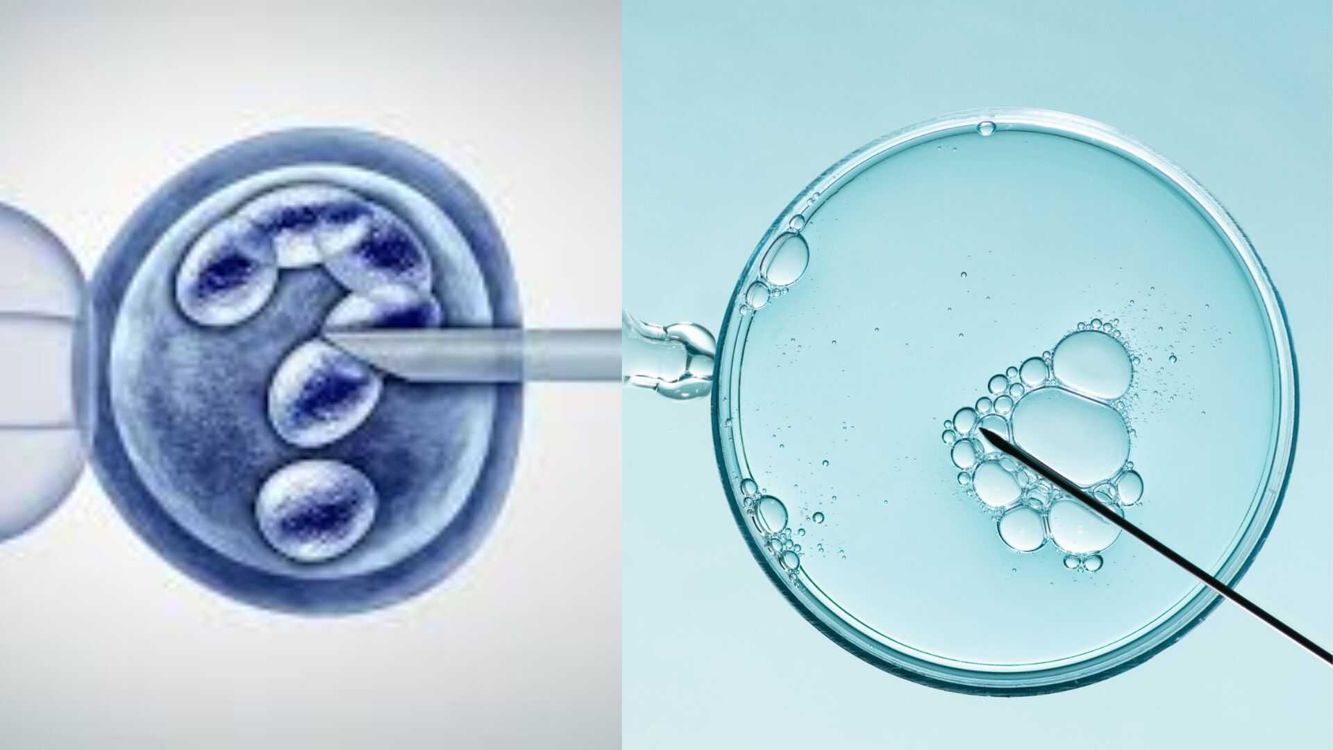 World IVF Day Alert: India’s Fertility Rates And Demographic Balance At Risk