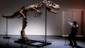 Billionaire Smashes Auction Record By Paying $45 Million For Dinosaur Skeleton