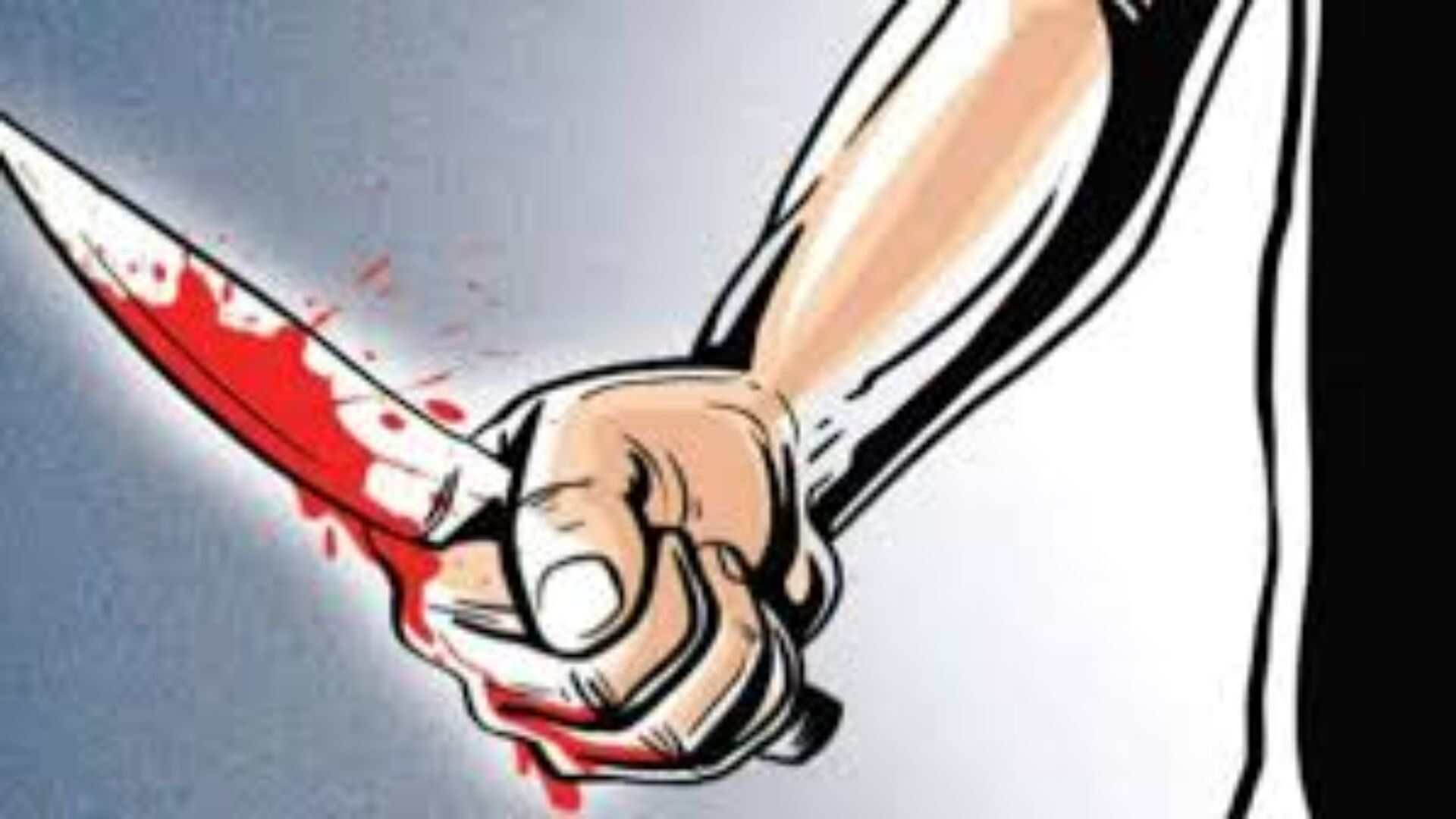 Noida Dhaba Owner And Waiter Stabbed For Not Serving Salad On Time