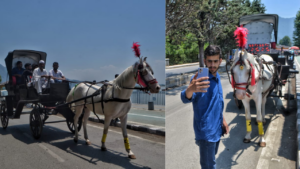 Pride In The Ride: A Mesmerizing Scene On Srinagar’s Foreshore