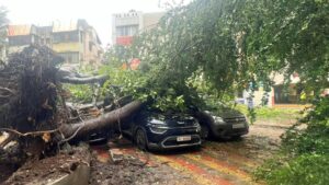 Heavy Rains Paralyze Pimpri-Chinchwad: Floods & Tree Falls Disrupt Life