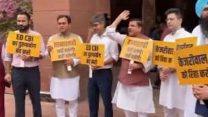 AAP MPs Stage Protest At Parliament Against Misuse Of Central Agencies Ahead Of Budget 2024; Watch