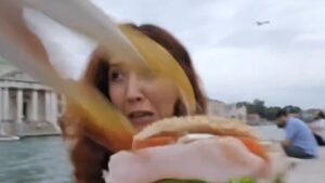 Seagulls Attack and Terrorize Woman Eating Sandwich During Live Stream – Watch Viral Video