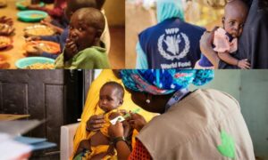 Crisis In Northern Nigeria: Rising Malnutrition Threatens Children